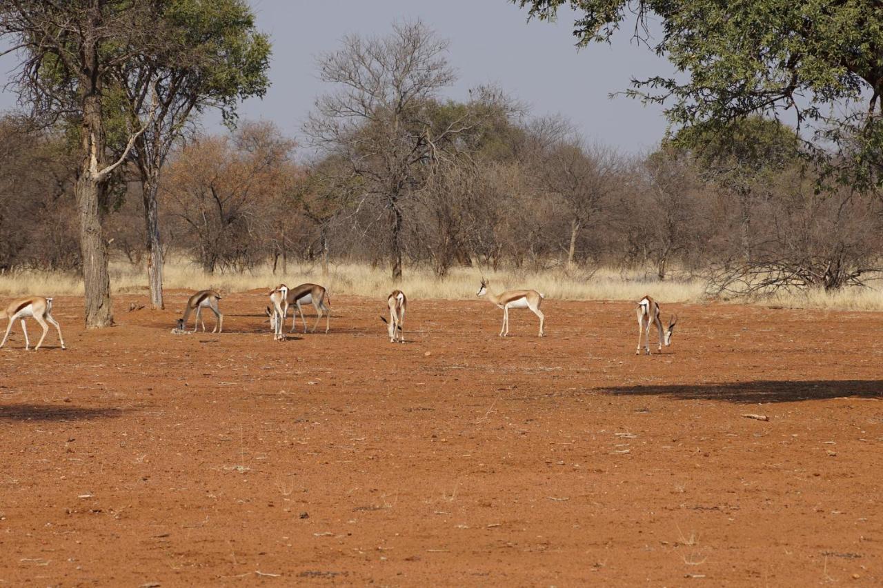 Kwele Game Lodge Beauty Eksteriør bilde