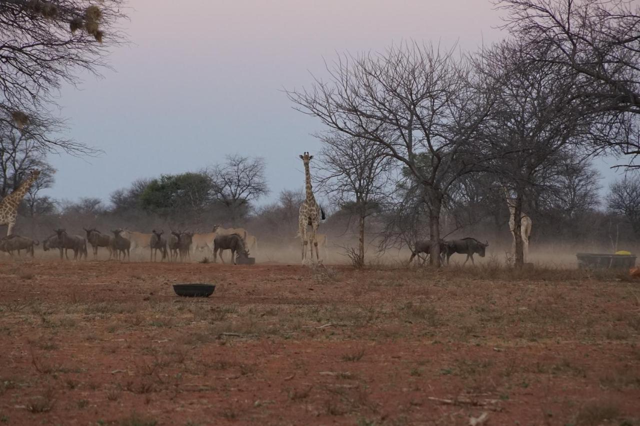Kwele Game Lodge Beauty Eksteriør bilde
