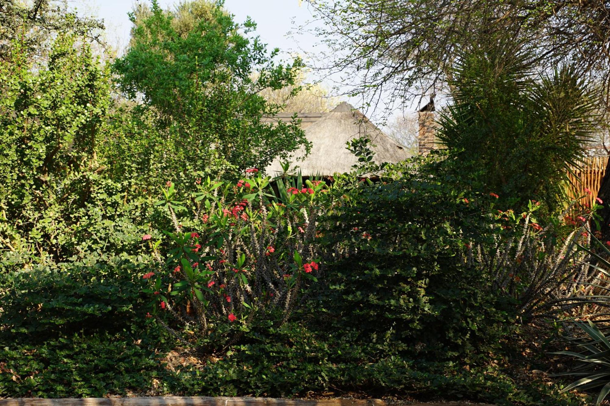 Kwele Game Lodge Beauty Eksteriør bilde